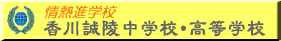 쐽˒wZEwZ